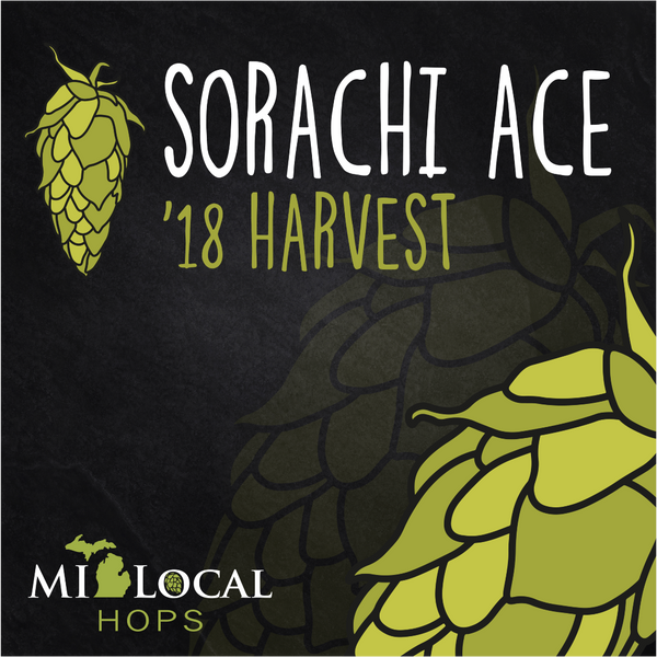 Sorachi Ace - 2018